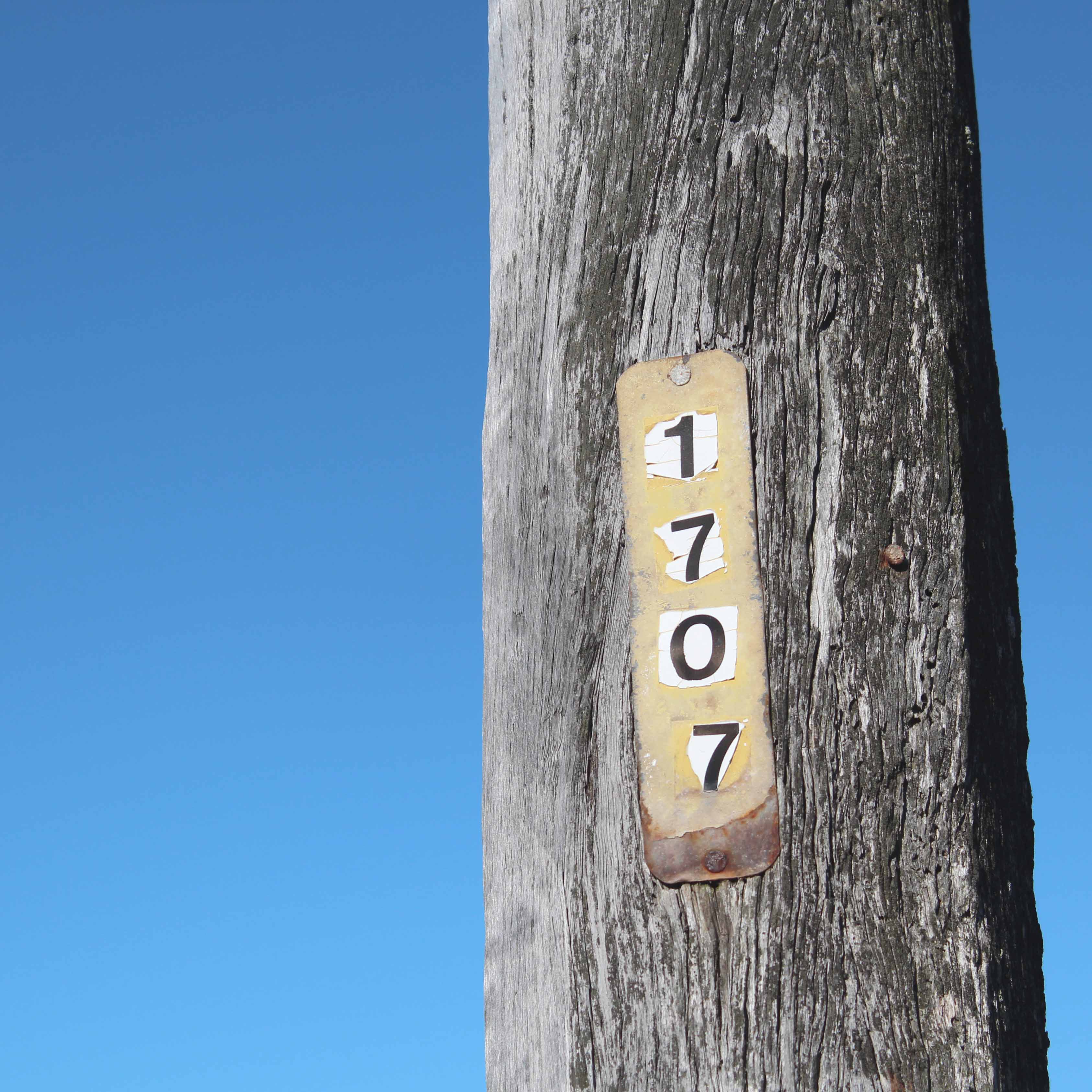 Image of a telegraph pole demonstrating 'texture'