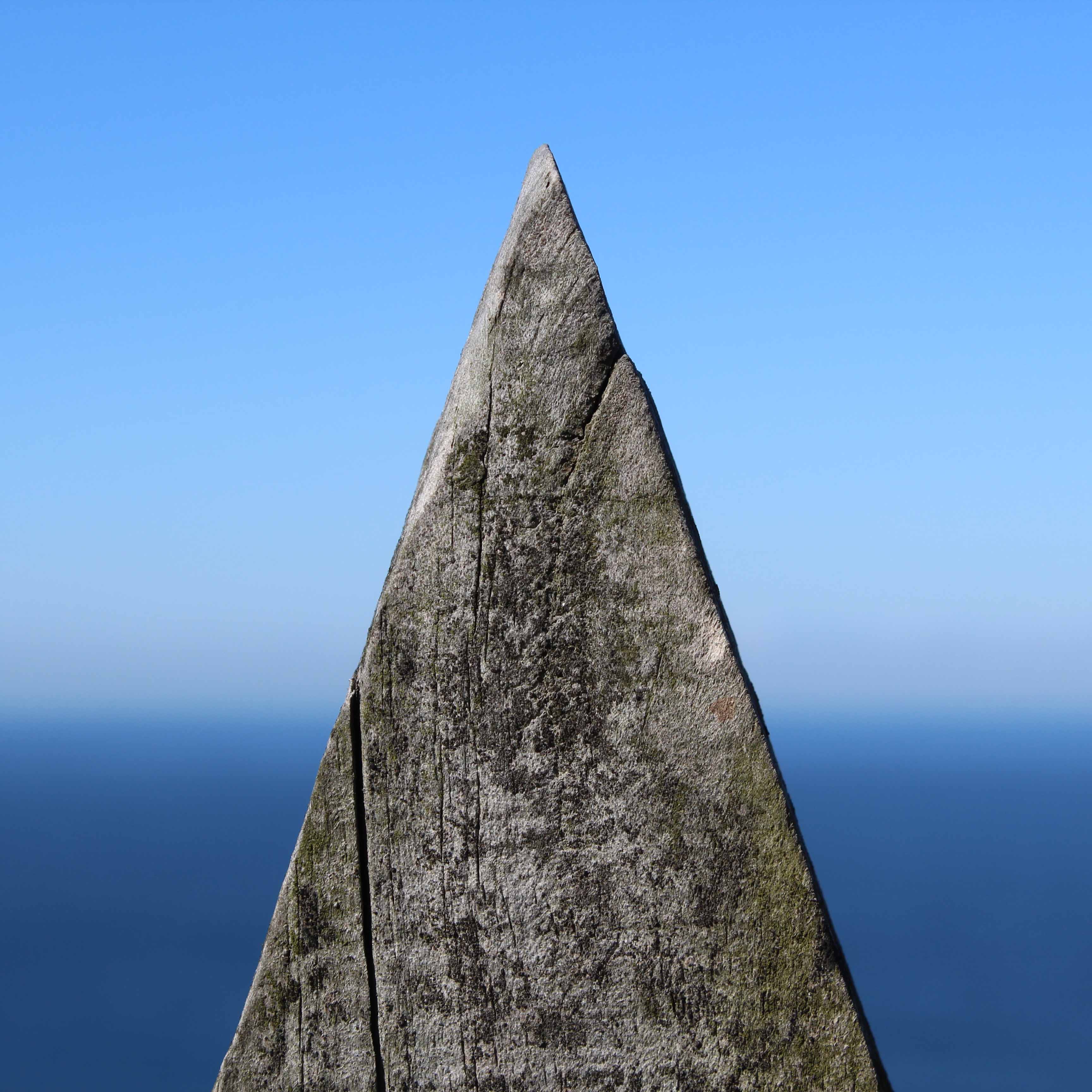 Image of a fence paling demonstrating 'figure and ground'