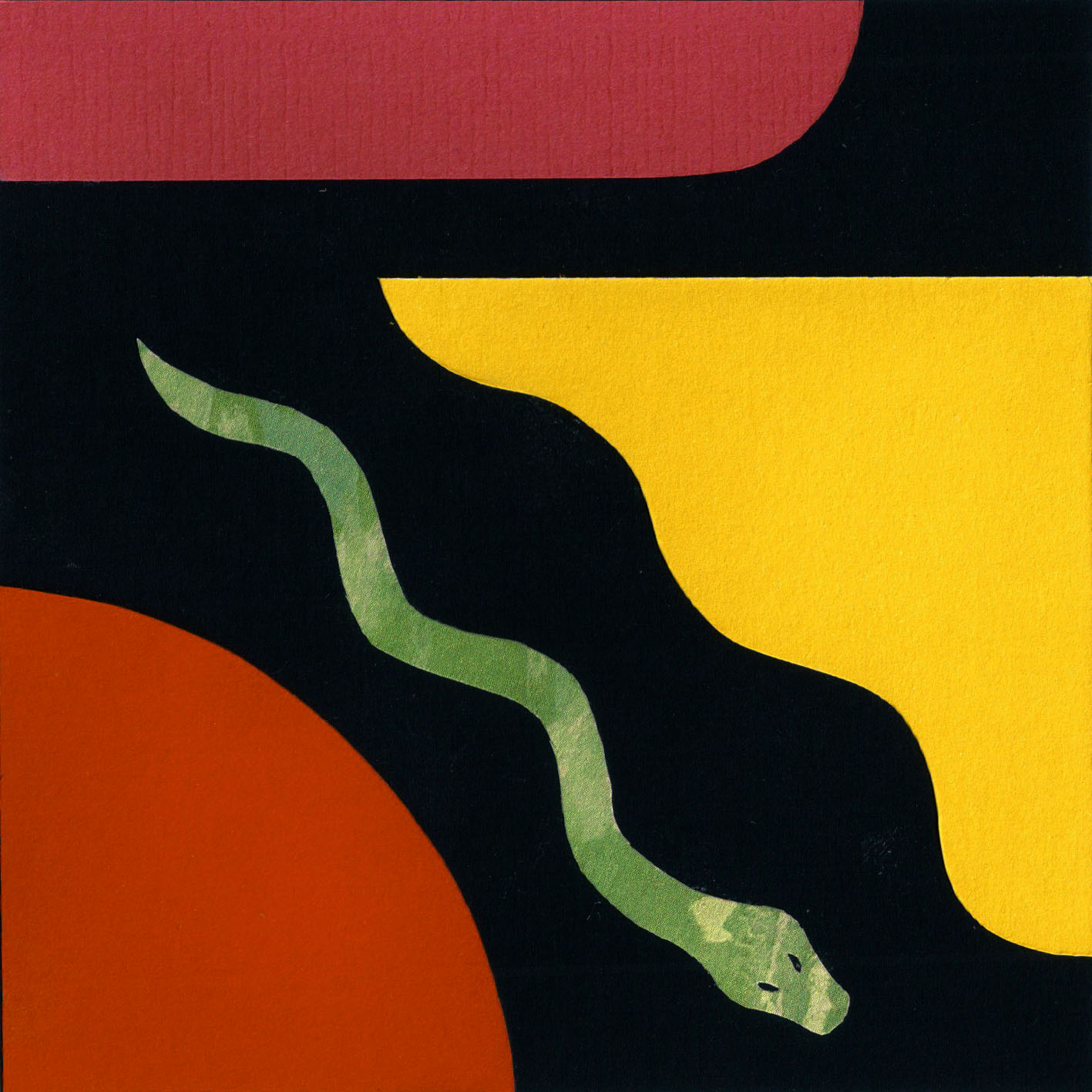 Snake collage